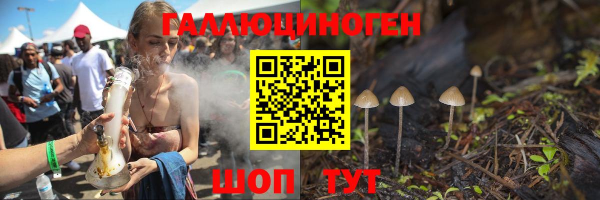 Красный Сулин  Псилоцибиновые грибы Psilocybe  Псилоцибиновые грибы MAGIC MUSHROOMS  Вход с VPN 